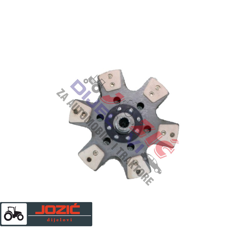 Daisy on the Ohoopee